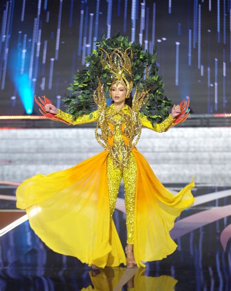 daring costumes|The Most Daring State Costumes From This Year's Miss USA .